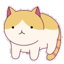 kedi