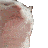 jamcat