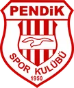 Winter_pendikspor