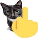 catmf
