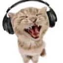 catmusic