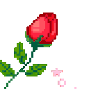 aesthetic8