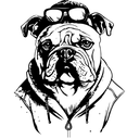 9pan_animals