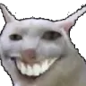 dilikedi