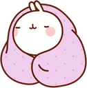 bunnyblanket