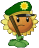 batonsunflower