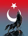 bozkurt