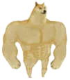 doggostrong