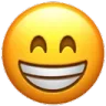 emoji_mutlu