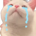 4065catcri