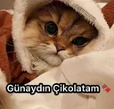 gunaydn
