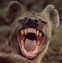 AAAAAA