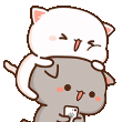 kedi10