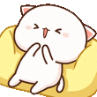 kedi9