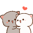 kedi8