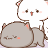 kedi15