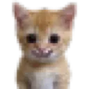 happymeowmeow