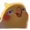 birb