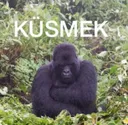 kusmwk