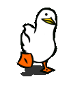 ic_ordek