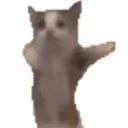 hapycat