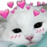caniim