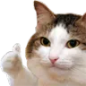 coki
