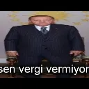 vergi