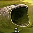 a_