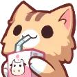 nekocatsip