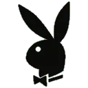 PlayboySiyah