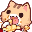 1960nekocatpopcorn