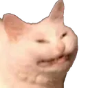 myrose_cringe