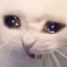 myrose_cry