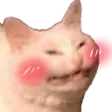 cattoblush
