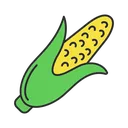 msr