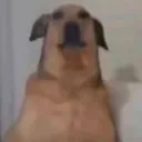 kopak