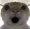 oha