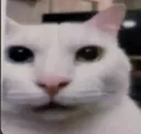woa