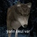 yarinokulvar