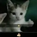 tamam