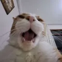 aaaaaaa