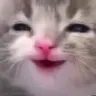 yiaaaa