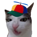 ac_goofycat
