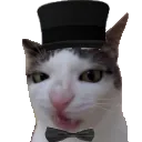 ac_poshcat