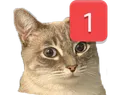 ac_catping