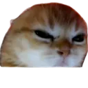 ac_madcat