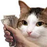 1263kiisucash