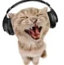 1482funkycat