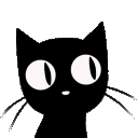 2112catplaytime